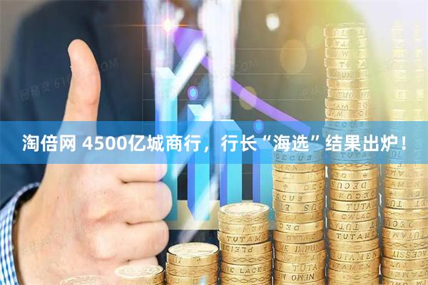 淘倍网 4500亿城商行，行长“海选”结果出炉！