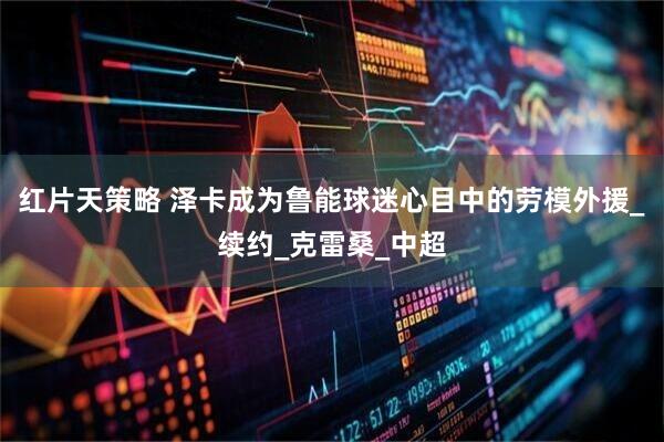 红片天策略 泽卡成为鲁能球迷心目中的劳模外援_续约_克雷桑_中超