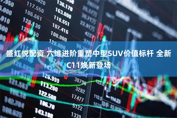 盛红悦配资 六维进阶重塑中型SUV价值标杆 全新C11焕新登场